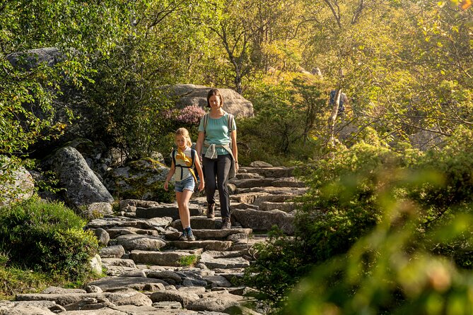 Preikestolen | Pulpit Rock - Hike with a local guide - How the guides shape the experience