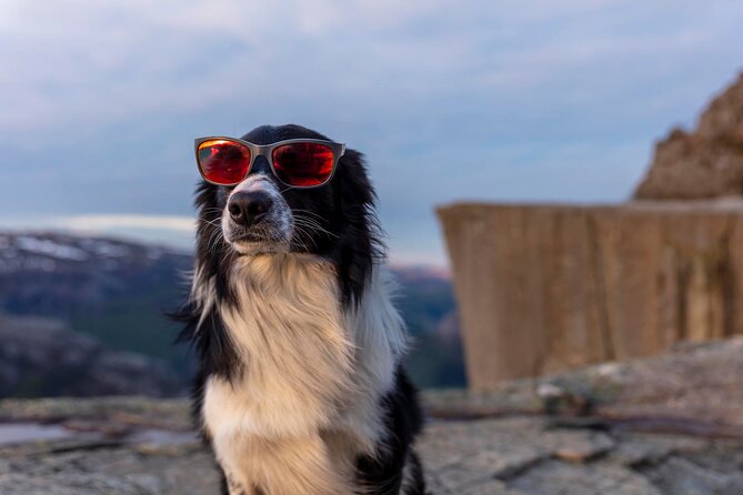 Preikestolen Sunrise Hike And Breakfast Buffet - Who should book this sunrise hike?