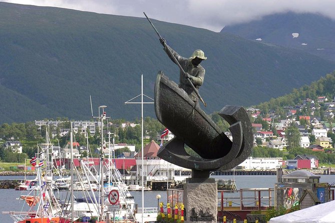 Private 5 to 7 hours Northern Lights Tour in Tromsø with hotel pick up - What happens if the Northern Lights do not appear