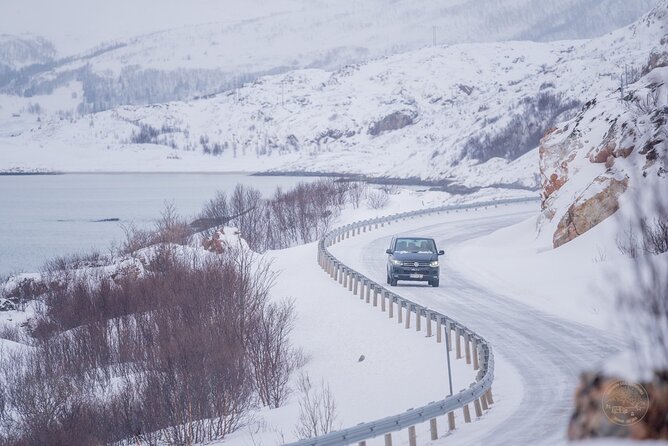 Private Arctic Fjord Roadtrip with Scenic Picnic from Tromso - Picnic timing and comfort on the road