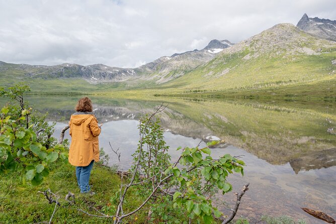 Private Arctic Fjord Roadtrip with Scenic Picnic from Tromso - Timing, weather, and the fine print