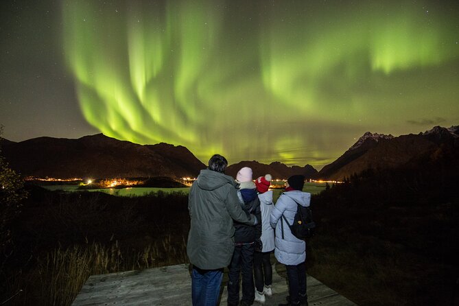 Private Aurora Borealis Adventure - Crossing Lofoten after dark