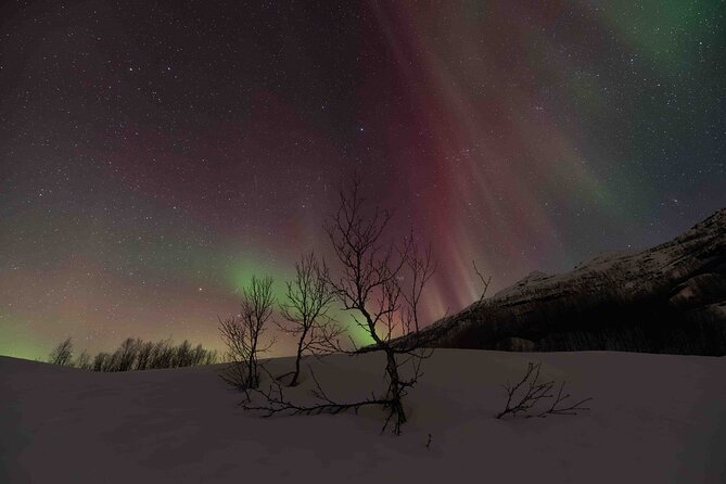 Private Aurora Hunting with Professional Photographer from Alta - Key points at a glance