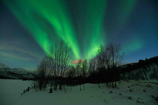 Private Aurora Hunting with Professional Photographer from Alta - Why this Alta Aurora hunt feels different