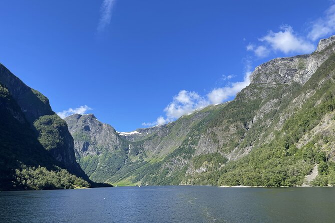 Private Cruise from Bergen to Sognefjord, Flåm and Nærøyfjord - Nærøyfjord and the stop at Gudvangen