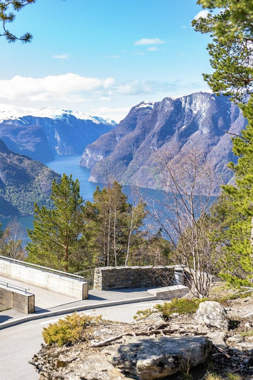 Private Day Tour- Flam Railway & Fjord Cruise From Bergen - One hour in Flåm
