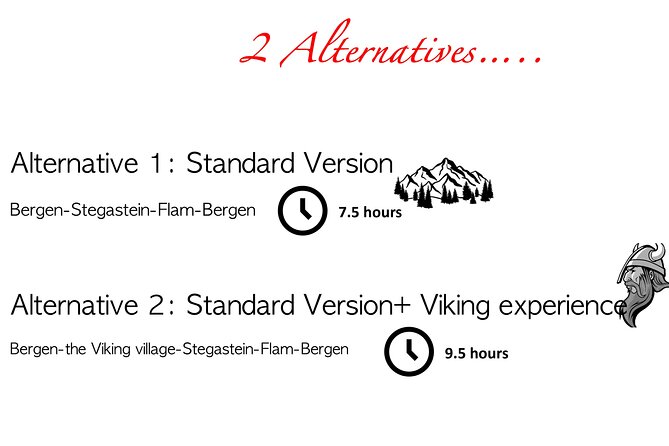 Private Day Tour to Flam and Stegastein - The mountain drive: beautiful views, long stretches in the car