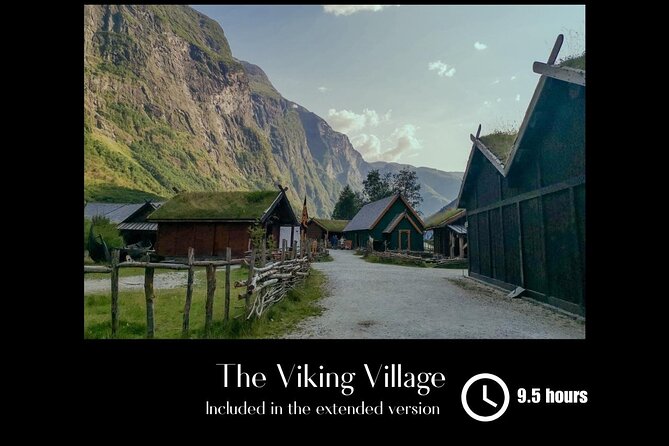 Private Day Tour to Flam and Stegastein - The private guide question: flexibility or quiet transport?