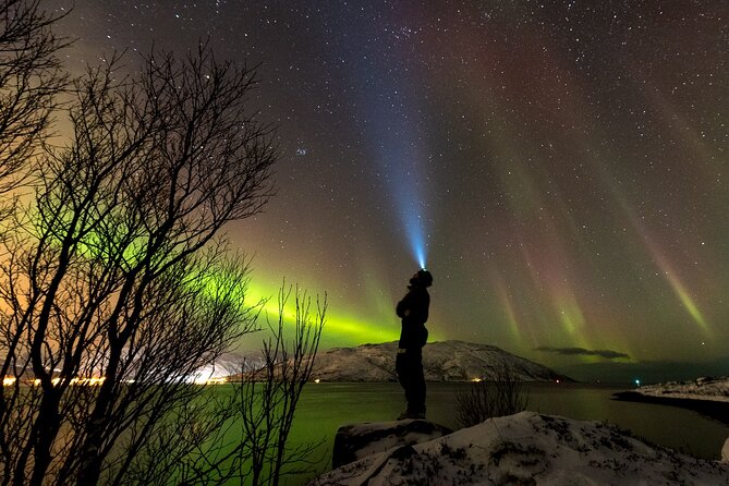 Private & Exclusive Northern Lights Tour with Professional guide - Starting at 7:00 pm with a plan that can change