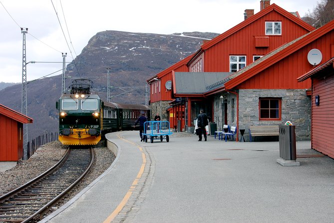 Private Full Day Trip From Oslo To Bergen with Sognefjord And Flam Railway - Is $1,101.19 per person good value?