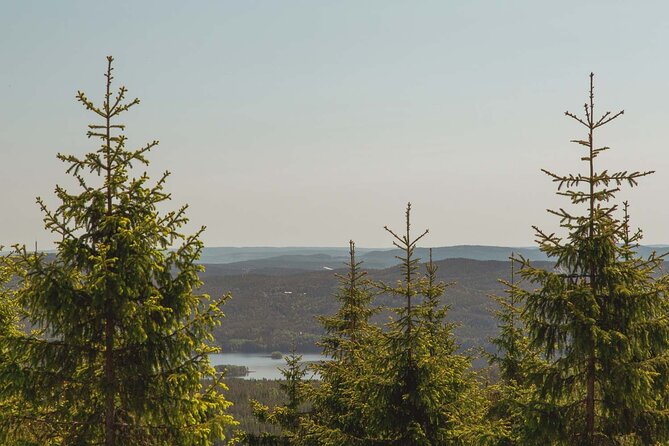 Private Great lake tour - Walking through Nordmarka toward the high point