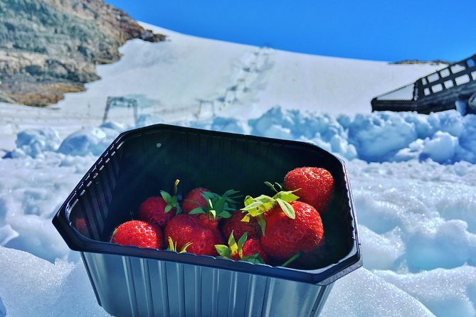 PRIVATE GUIDED TOUR: Folgefonna Glacier roundtrip from Bergen, 8 hours - Returning across the fjord and back to Bergen