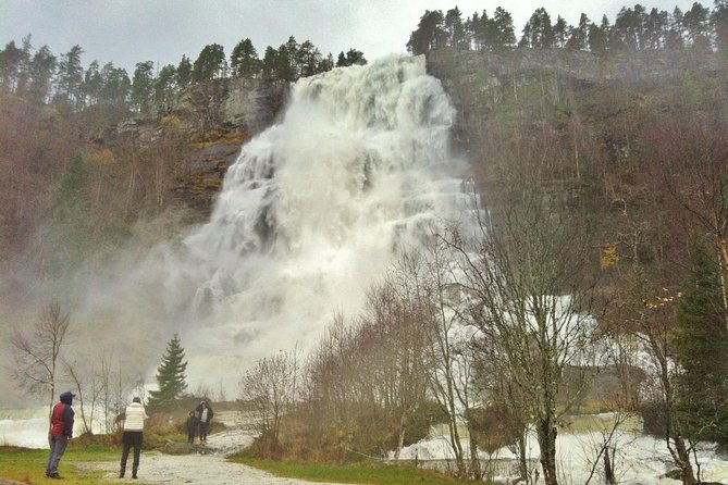 PRIVATE GUIDED TOUR: Highlights of Norway – Trip to the Sognefjord – WINTER - Flåm, lunch, and the Flåmsbana railway