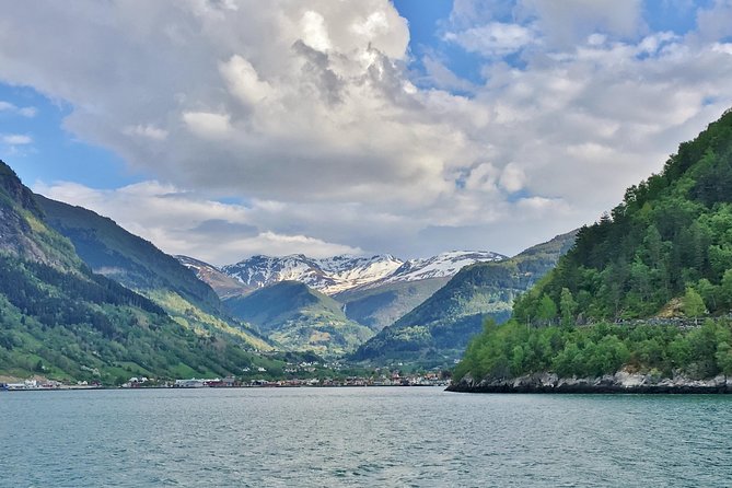PRIVATE GUIDED TOUR: King of the Fjords – round trip to the Sognefjord, 11 hours - Four details that shape the day