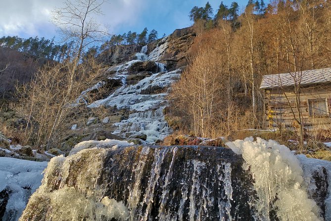 PRIVATE GUIDED TOUR: Norway's Highlights – Viking Special, 11-12 hours – WINTER - Choosing your Nærøyfjord experience