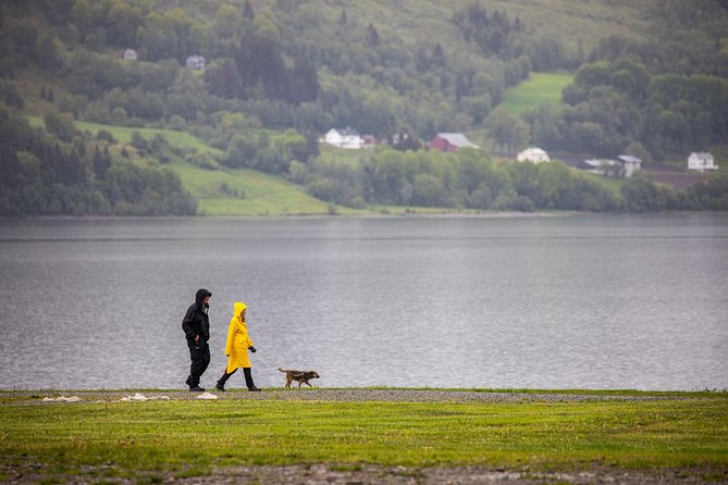 PRIVATE GUIDED TOUR: Norway's Highlights–Viking Special, 11 h - Starting in Bergen, Norway’s fjord gateway