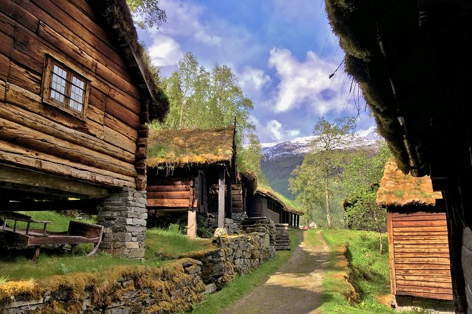 PRIVATE GUIDED TOUR: Norway's Highlights–Viking Special, 11 h - Choosing between the Nærøyfjord ferry and a private RIB