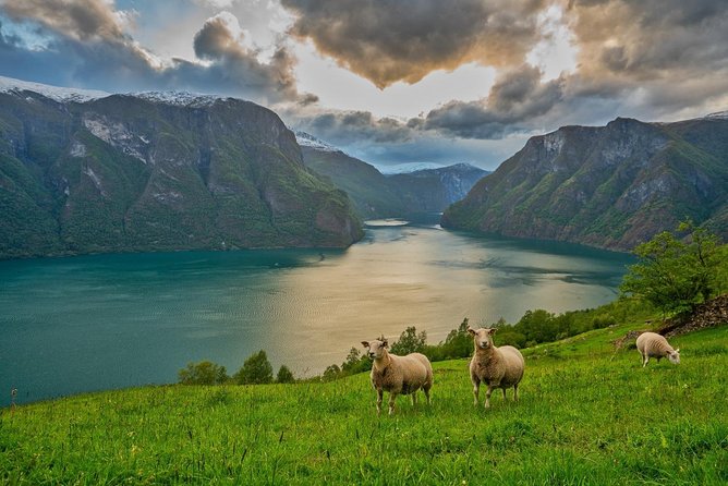 PRIVATE GUIDED TOUR: Norway's Highlights–Viking Special, 11 h - Tvindefossen, a waterfall you can approach
