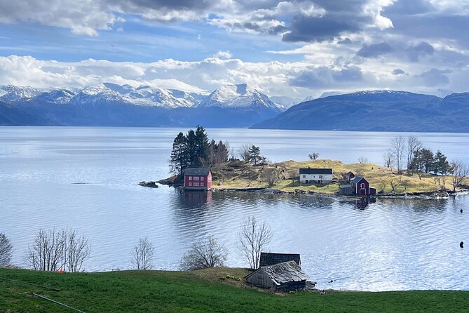 Private Guided Tour of Bergen and the Best of Norwegian Fjords - A Working Ferry Across the Fjord