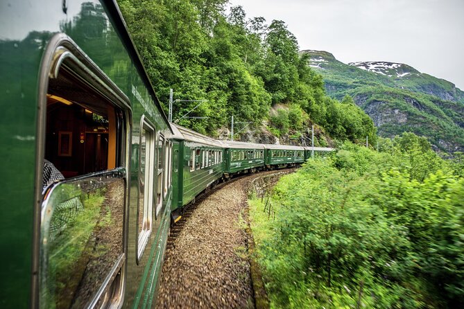 Private guided tour - Premium Nærøyfjord Cruise and Flåm Railway - Riding the Flåm Railway from Flåm to Myrdal