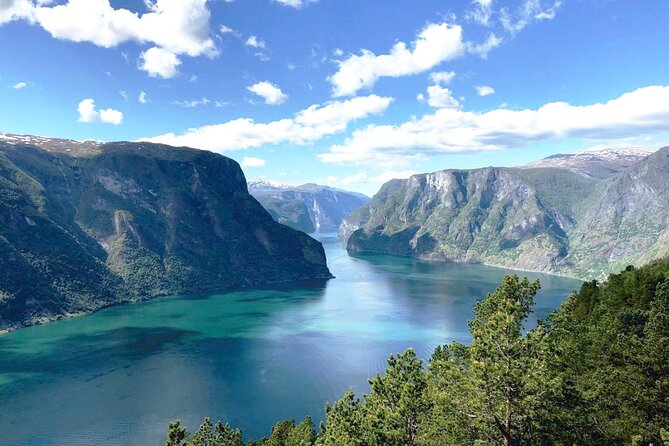 Private guided tour - Premium Nærøyfjord Cruise and Flåm Railway - The Myrdal transfer and return through Voss