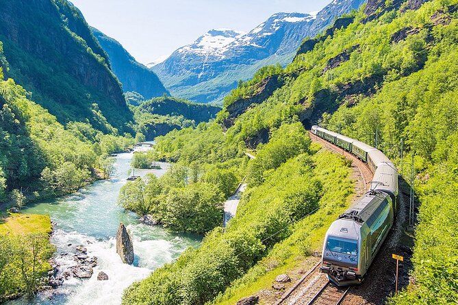 Private guided tour - Premium Nærøyfjord Cruise and Flåm Railway - From Bergen toward Voss and Tvindefossen