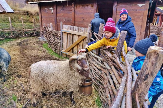 PRIVATE GUIDED TOUR: The Heart of Norway – Viking Special, 8-9 hours – WINTER - Stalheim views without the summer road