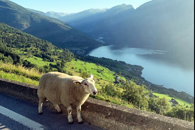Private Guided Tour to Oslo Nærøyfjord Cruise and Flåm Railway - Voss and Tvindefossen: an early look at Norway’s outdoors