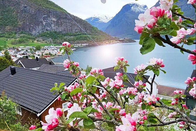 Private Guided Tour to Oslo Nærøyfjord Cruise and Flåm Railway - What the $1,116.99 price buys you