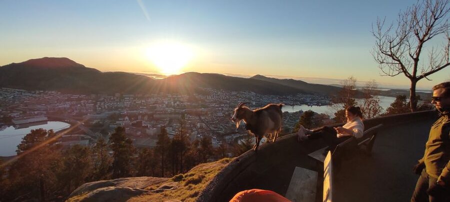 Private hiking tour Bergen mountains like a local - Starting beside Godt Brød and the Fløyen funicular