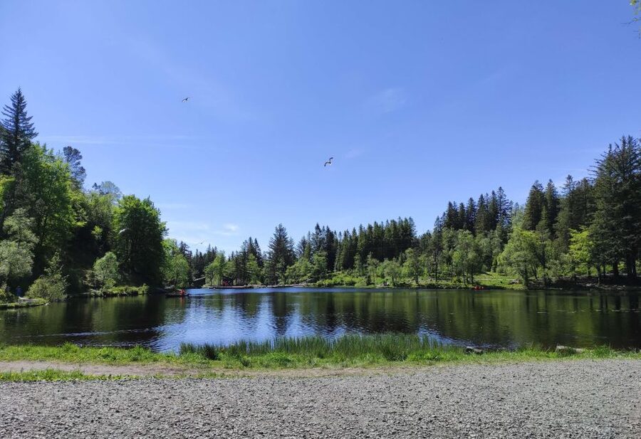 Private hiking tour Bergen mountains like a local - Who will enjoy this three-hour Bergen hike?