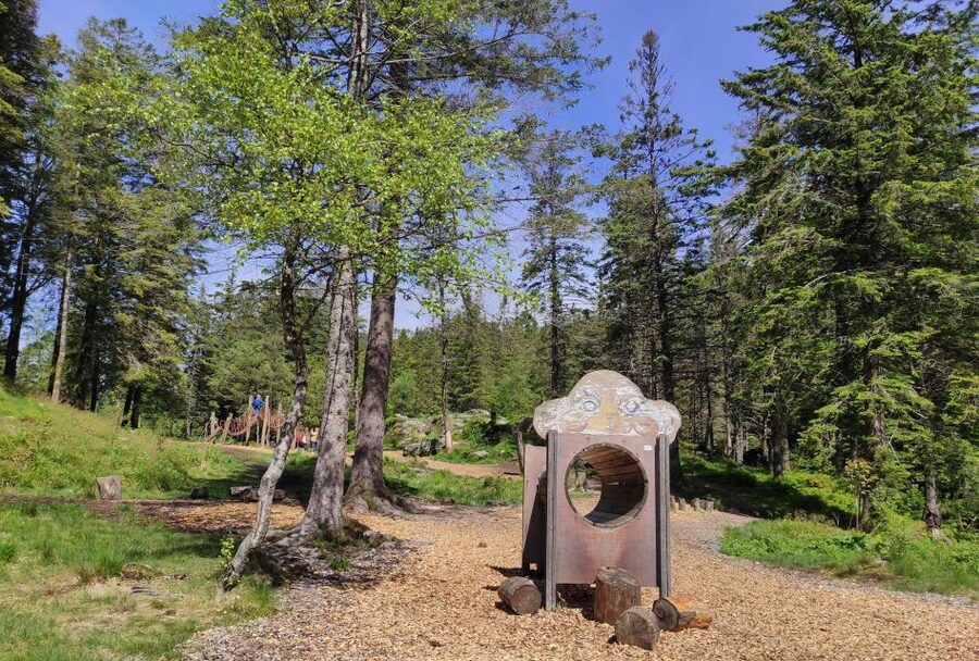 Private hiking tour Bergen mountains like a local - What your three hours may feel like