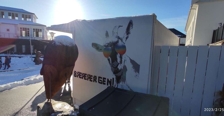 Private hiking tour Bergen mountains like a local - Mount Fløyen views without a rigid route