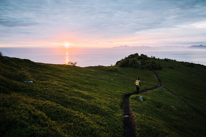 Private Midnight Tour To Gimsøya - Key points at a glance