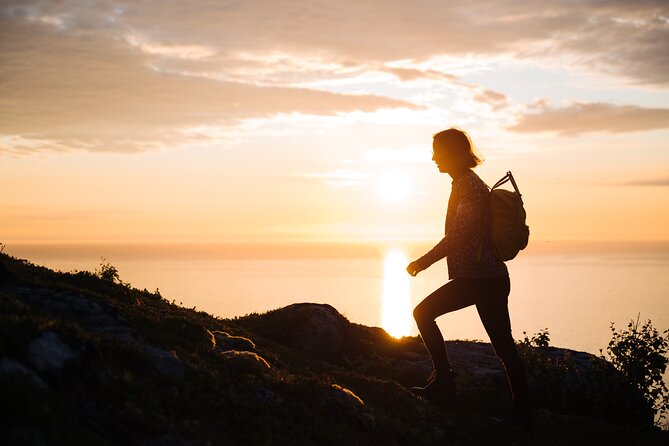 Private Midnight Tour To Gimsøya - Gimsøya under the midnight sun
