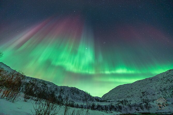 Private Northern Lights Chase with Photography from Tromsø - Who should book this Arctic night?