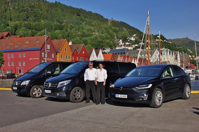 PRIVATE TOUR: Bergen city sightseeing, 3 hours - Why a private car works well in Bergen