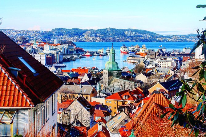 PRIVATE TOUR: Bergen city sightseeing, 3 hours - Gamle Bergen Museum, a town inside the town