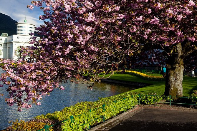PRIVATE TOUR: Bergen city sightseeing, 5 hours - Why a private vehicle helps in Bergen