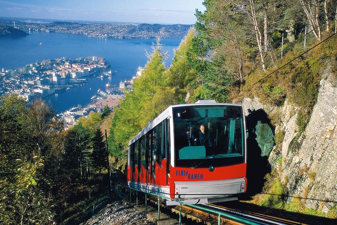 PRIVATE TOUR: Bergen city sightseeing, 5 hours - Gamlehaugen and Bergen’s royal connection