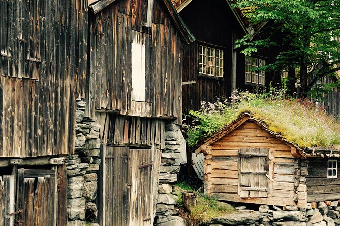 Private tour from Ålesund to Geiranger up to 15 people - Key reasons to consider this private fjord tour