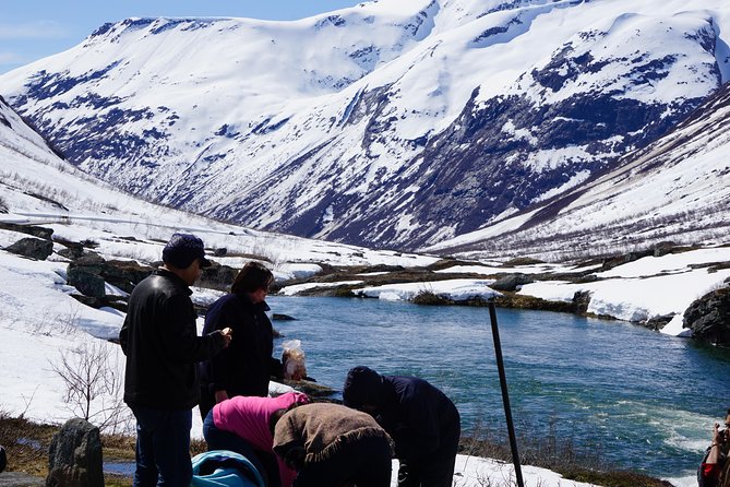 Private tour Geiranger and Glaciers 1 to 15 people - Geirangerfjord and Dalsnibba: starting low, then climbing high