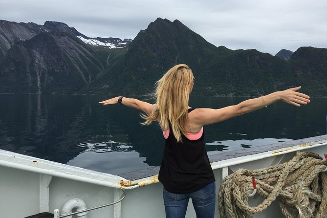 Private tour Geiranger and Glaciers 1 to 15 people - Briksdal Glacier and the included troll car