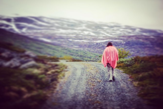 Private tour Geiranger and Glaciers 1 to 15 people - The old Strynefjellsvegen mountain road