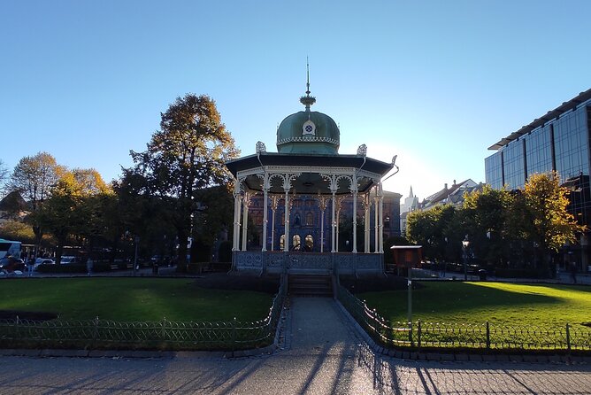 Private Tour in Bergen with Professional Guides - Why this private Bergen walk can be useful