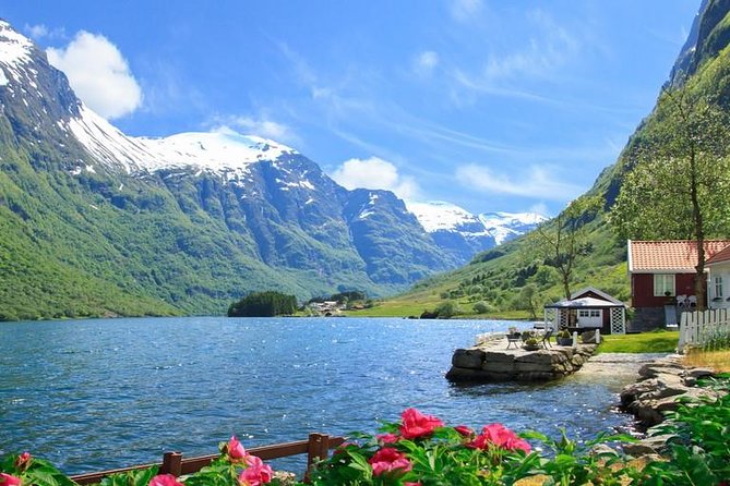 Private tour - Viking Village, Nærøyfjord Cruise and Flåm Railway - Myrdal and the Bergen Railway Toward Voss