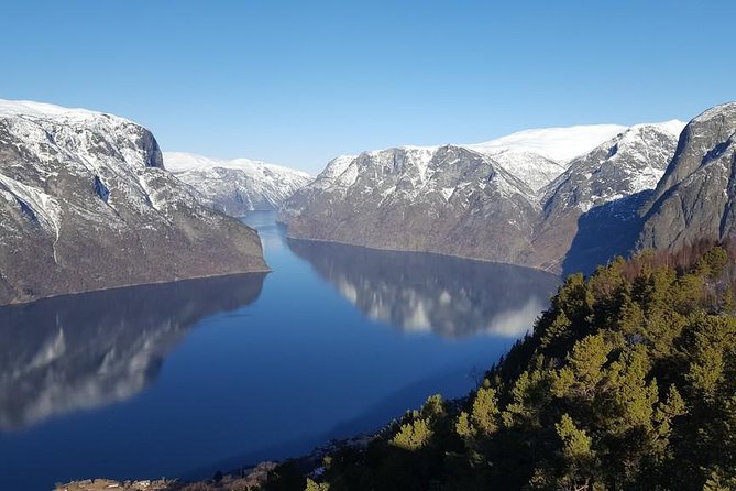 Private tour - Viking Village, Nærøyfjord Cruise and Flåm Railway - The Guides Are a Major Part of the Value