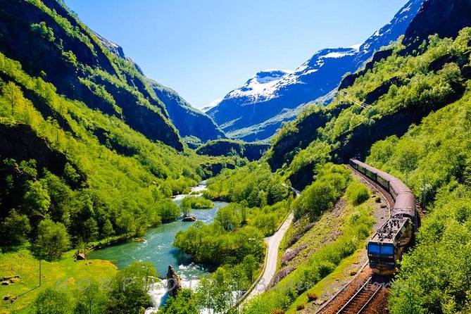 Private tour - Viking Village, Nærøyfjord Cruise and Flåm Railway - Price, Pace, and Who Gets the Most Value