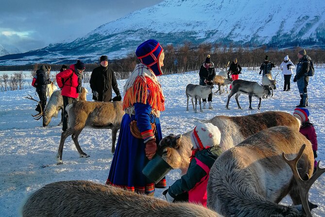 Reindeer Feeding and Sami Culture Afternoon Departure - Weather, clothing, and practical comfort