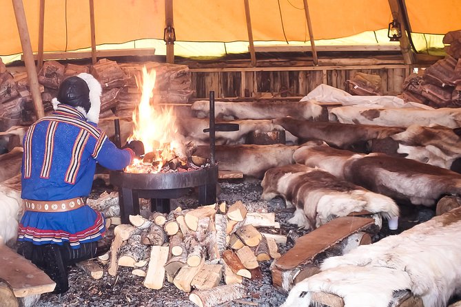 Reindeer Feeding and Sami Culture Including Lunch from Tromso - Booking details worth knowing before you go